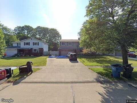 Camellia, NORTH OLMSTED, OH 44070