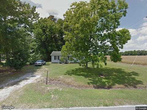 Thunder Swamp, MOUNT OLIVE, NC 28365