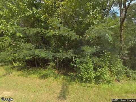 Ga Highway 240, BOX SPRINGS, GA 31801