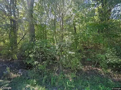 Forest, BENTON, KY 42025