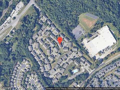 Vireo, FLOWERY BRANCH, GA 30542