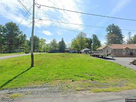 Maple Tree, MONTICELLO, NY 12701