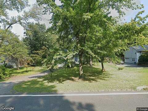 Oak Tree, PALISADES, NY 10964