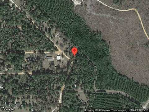 Hickory, LIVINGSTON, TX 77351