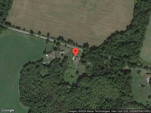 Birch, WALLKILL, NY 12589
