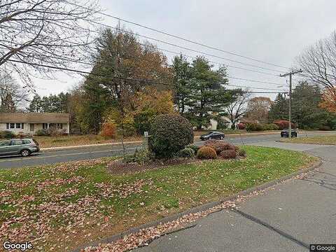 Ivy, SOUTH WINDSOR, CT 06074