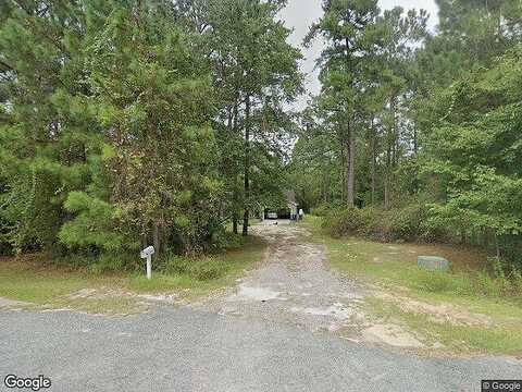 Palm Tree, JESUP, GA 31545