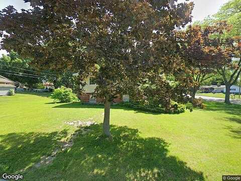 Chippewa, FREMONT, MI 49412