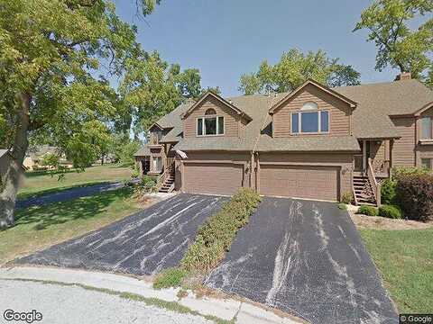 Sand Piper, LOVES PARK, IL 61111