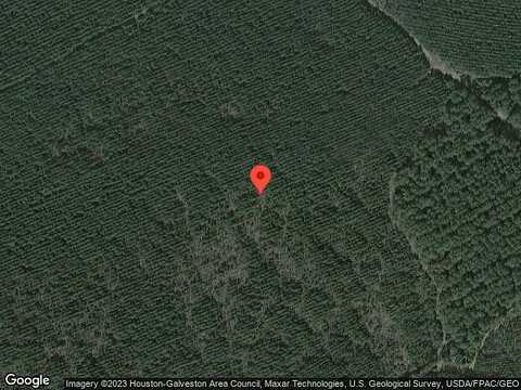 Duff, LIVINGSTON, TX 77351