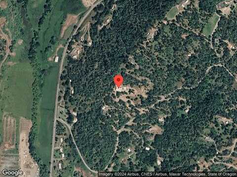 Wild Iris, ROSEBURG, OR 97470