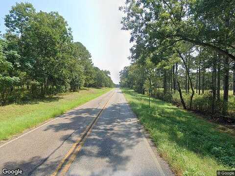 Ga Highway 271, ELLAVILLE, GA 31806