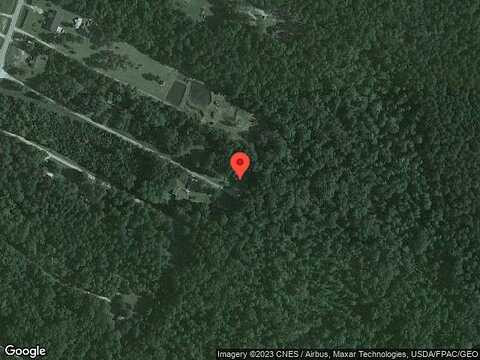 Leopard, APPLING, GA 30802