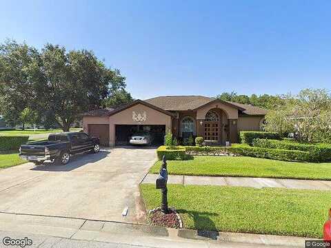 Stallion Lake, PALM HARBOR, FL 34685