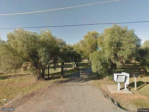 Olive, ANDERSON, CA 96007