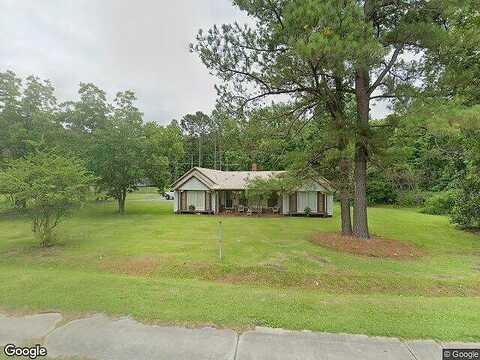 Martin L King Jr, ESTILL, SC 29918