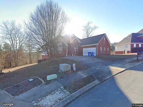Ginkgo, OOLTEWAH, TN 37363