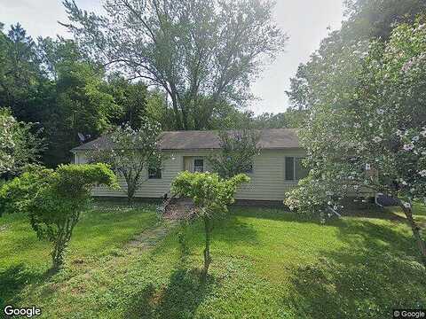 Snake, CATSKILL, NY 12414