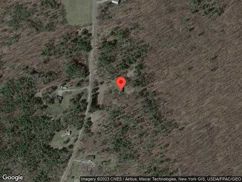 Travis Hill, PRESTON HOLLOW, NY 12469
