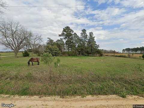 Jamestown, CORDELE, GA 31015