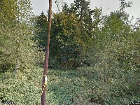 Lockwood Creek, LA CENTER, WA 98629