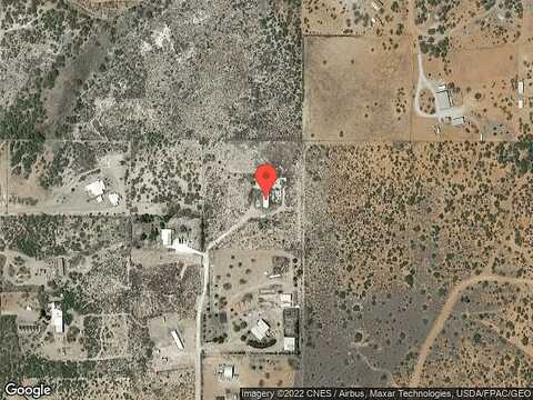 Grasshopper, HEREFORD, AZ 85615