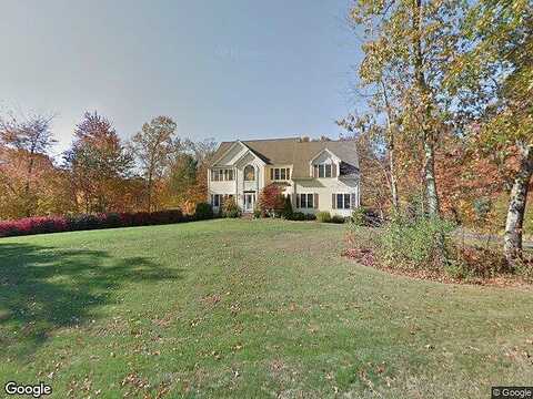 Blueberry, MENDON, MA 01756