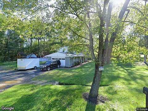White Birch, HYDE PARK, NY 12538