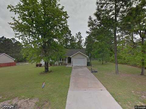 Palm Tree, JESUP, GA 31545