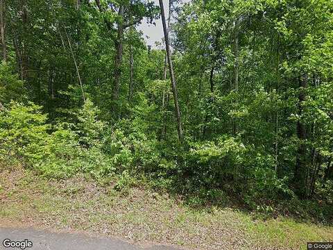 Stone, DAWSONVILLE, GA 30534