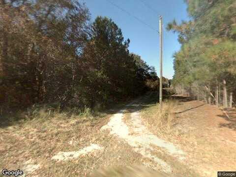 Bears Bluff, WADMALAW ISLAND, SC 29487