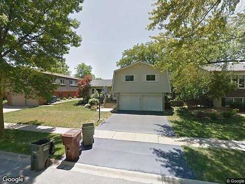 Honey, TINLEY PARK, IL 60477