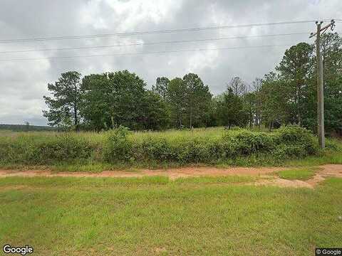 Ga Highway 41, BUENA VISTA, GA 31803