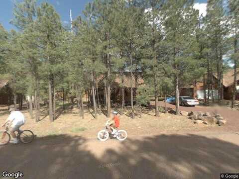 Mark Twain, PINETOP, AZ 85935