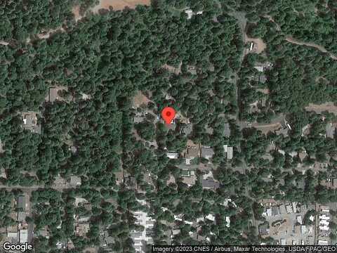 Bandit, POLLOCK PINES, CA 95726