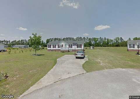 Blackbird, STATESBORO, GA 30461