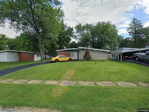 Graybirch, SAINT LOUIS, MO 63134