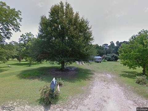 Ginger, DALEVILLE, AL 36322