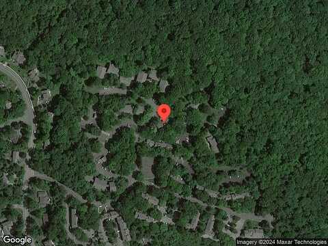 Marsh Hawk, HACKETTSTOWN, NJ 07840