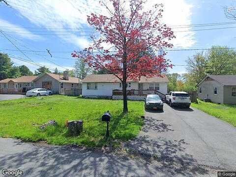 Maple Tree, MONTICELLO, NY 12701