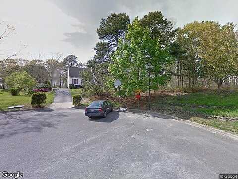 Pine Needle, MANORVILLE, NY 11949