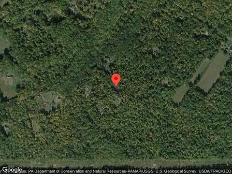 Bear Foot, BARTO, PA 19504