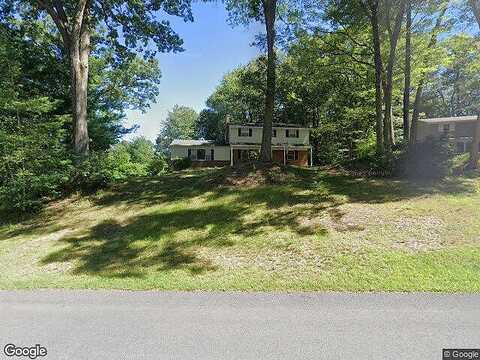 Blue Spruce, BALLSTON LAKE, NY 12019