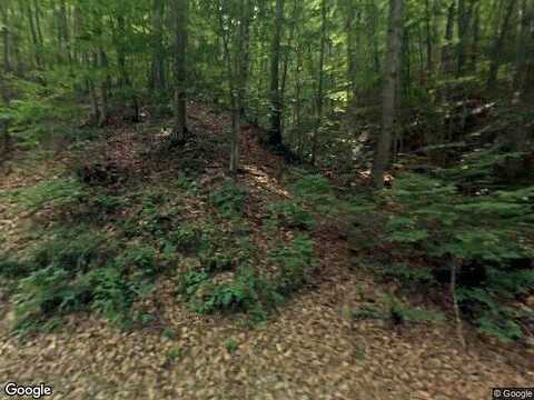 Johnson Creek, COVINGTON, VA 24426
