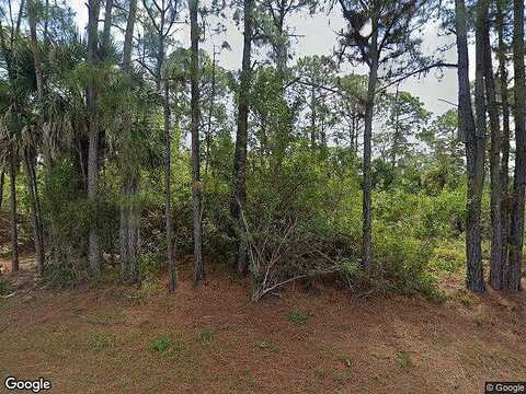 Walcott, PORT CHARLOTTE, FL 33981