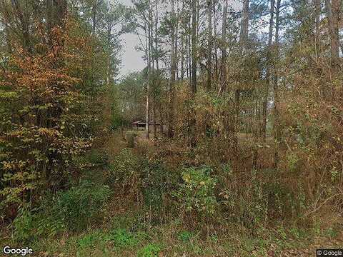 Forest Hills, MONTGOMERY, TX 77316