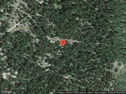Pine, SHINGLETOWN, CA 96088