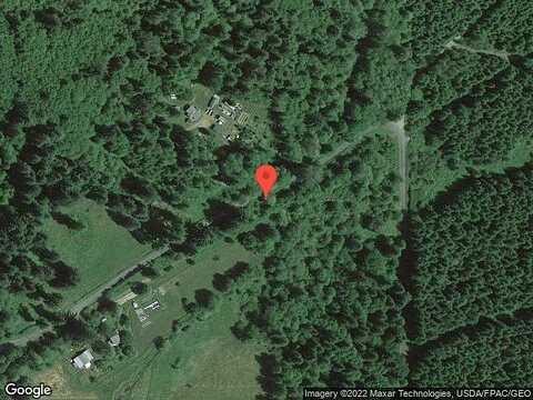 Frisken Y, ELMA, WA 98541