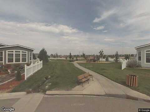 Songbird, FREDERICK, CO 80530