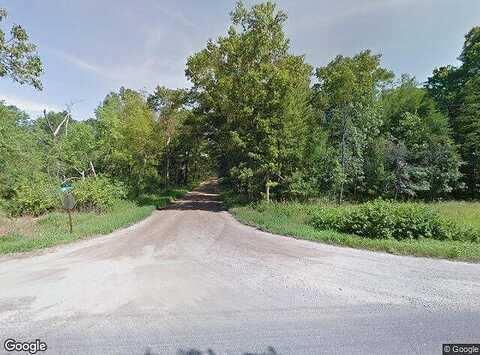 Beech, HOWARD CITY, MI 49329